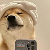 孙女士